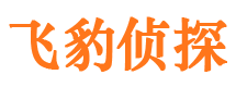 兰西捉小三公司